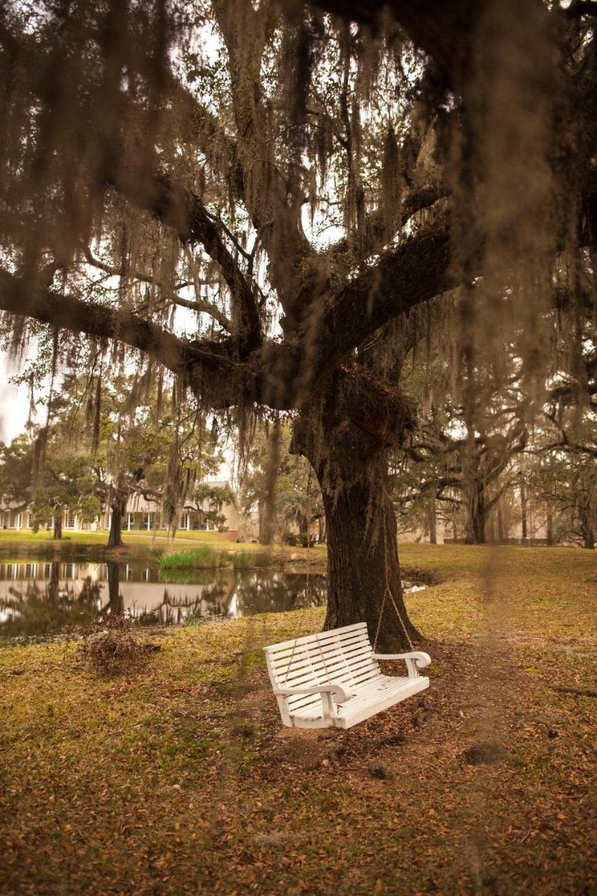 Greenwood Plantation B&B Inn เซนต์แฟรนซิลวิลล์ ภายนอก รูปภาพ